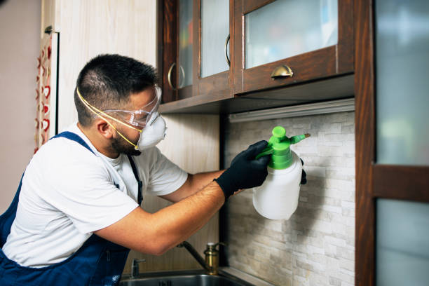 Best Pest Control for Businesses  in Hueytown, AL