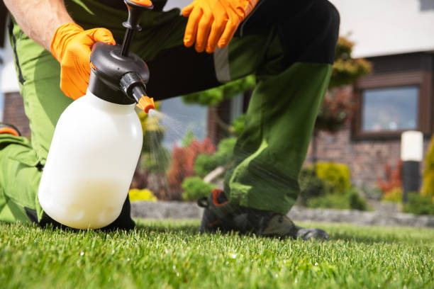 Trusted Hueytown, AL Pest Control Experts