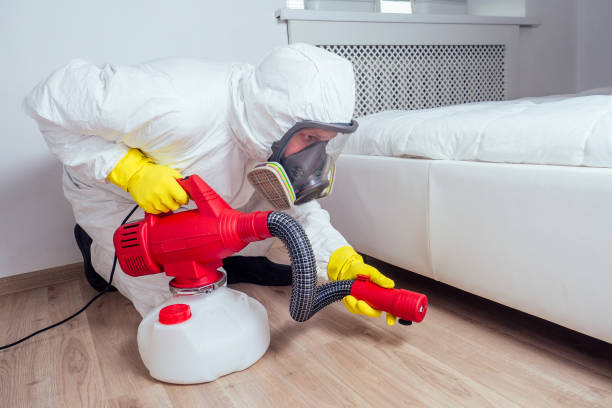 Best Affordable Pest Control Services  in Hueytown, AL