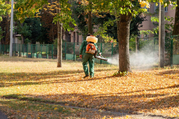 Best Cockroach Control Services  in Hueytown, AL