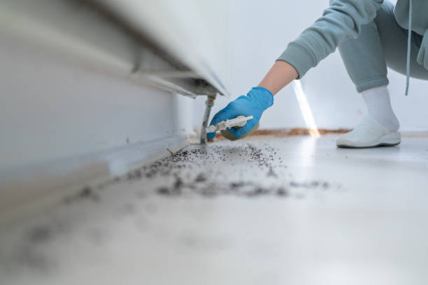 Best Pest Prevention Services  in Hueytown, AL